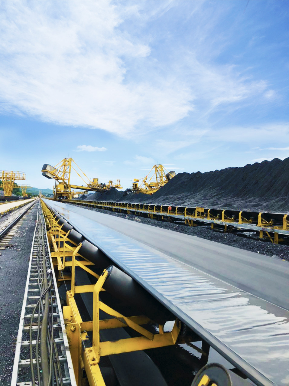 Băng Tải Cao Su Cốt Bạt EP Chịu Mài Mòn - Ảnh 4